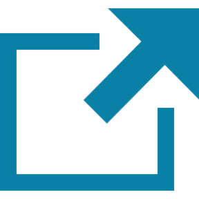 Icon for Additional IT services